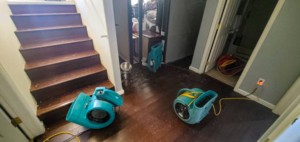 Best Local water damage restoration  in Hopkinsville, KY