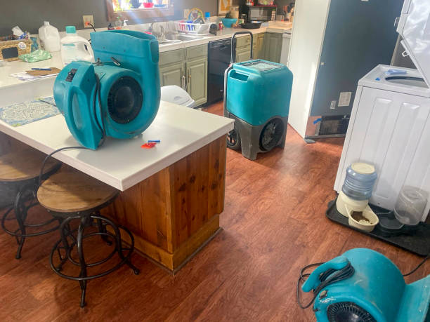 Best Residential water damage restoration  in Hopkinsville, KY
