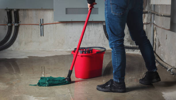 Best Water damage contractors near me  in Hopkinsville, KY