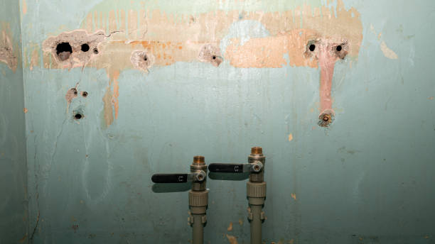 Best Ceiling water damage repair  in Hopkinsville, KY