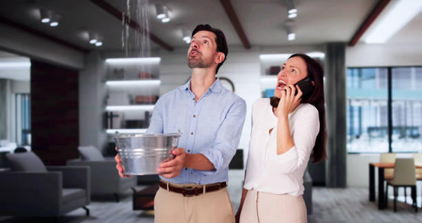 Best Water damage restoration near me  in Hopkinsville, KY